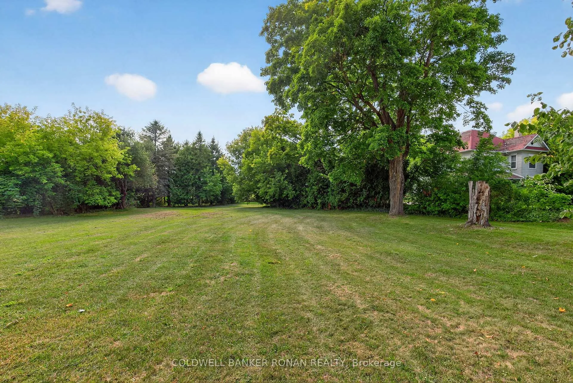 Photo 19 of 1516 17th Side Road, New Tecumseth, Rural New Tecumseth — HOMEH