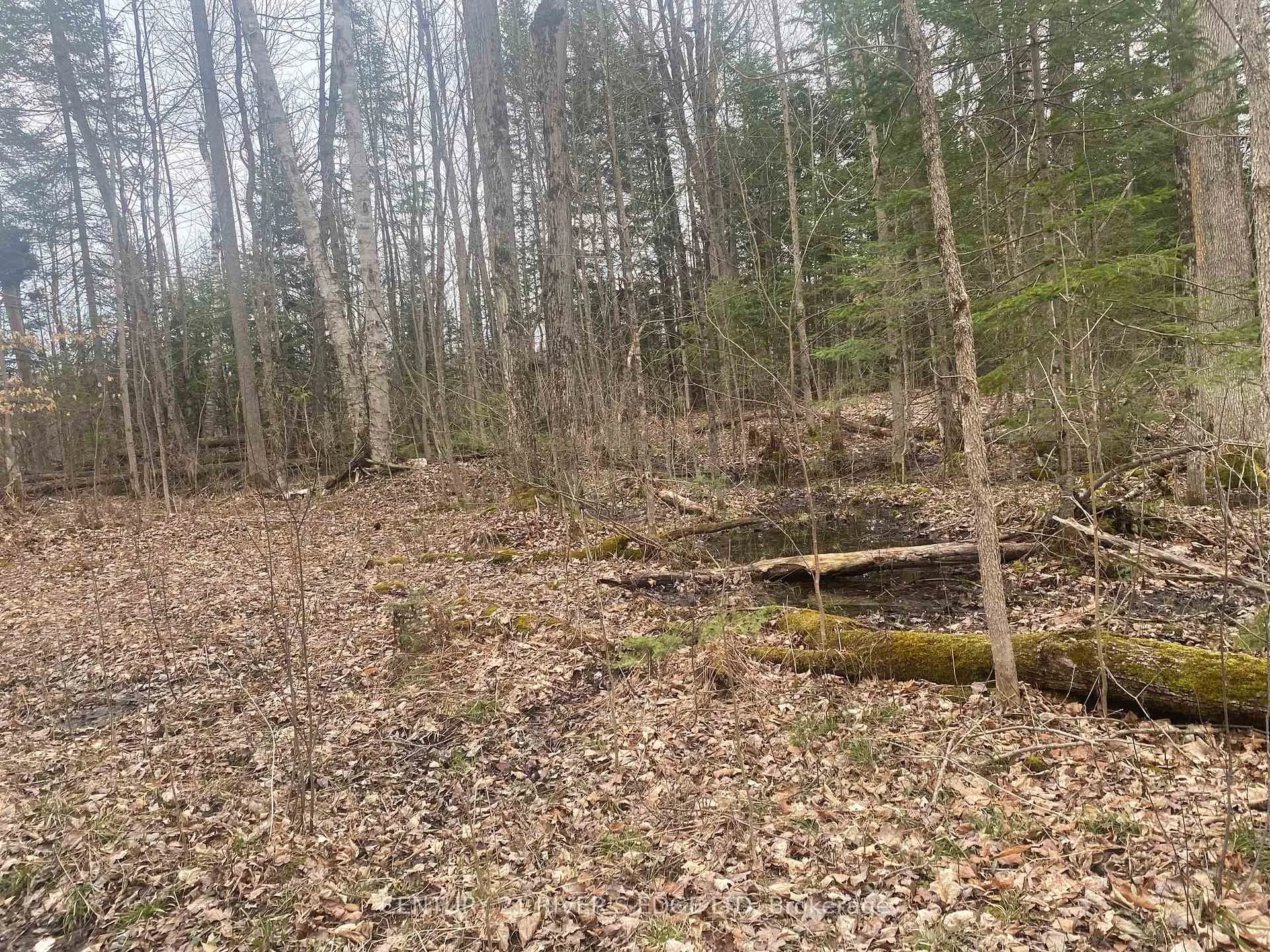 Photo of 00 County Rd 44