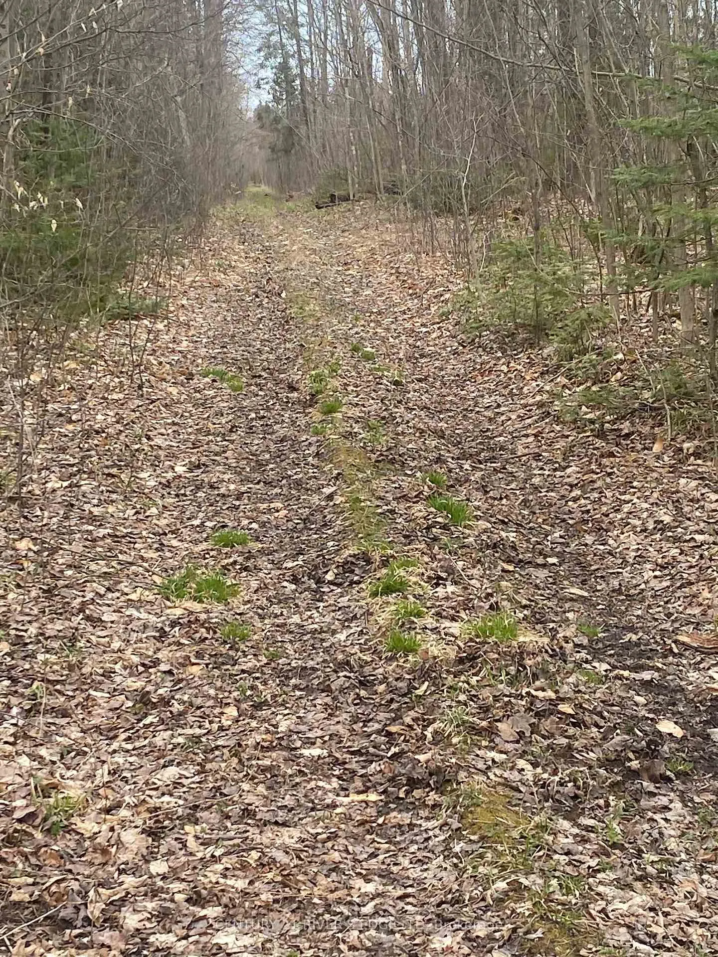 Photo 2 of 00 County Rd 44, North Grenville, North Grenville Twp (Kemptville South) — HOMEH