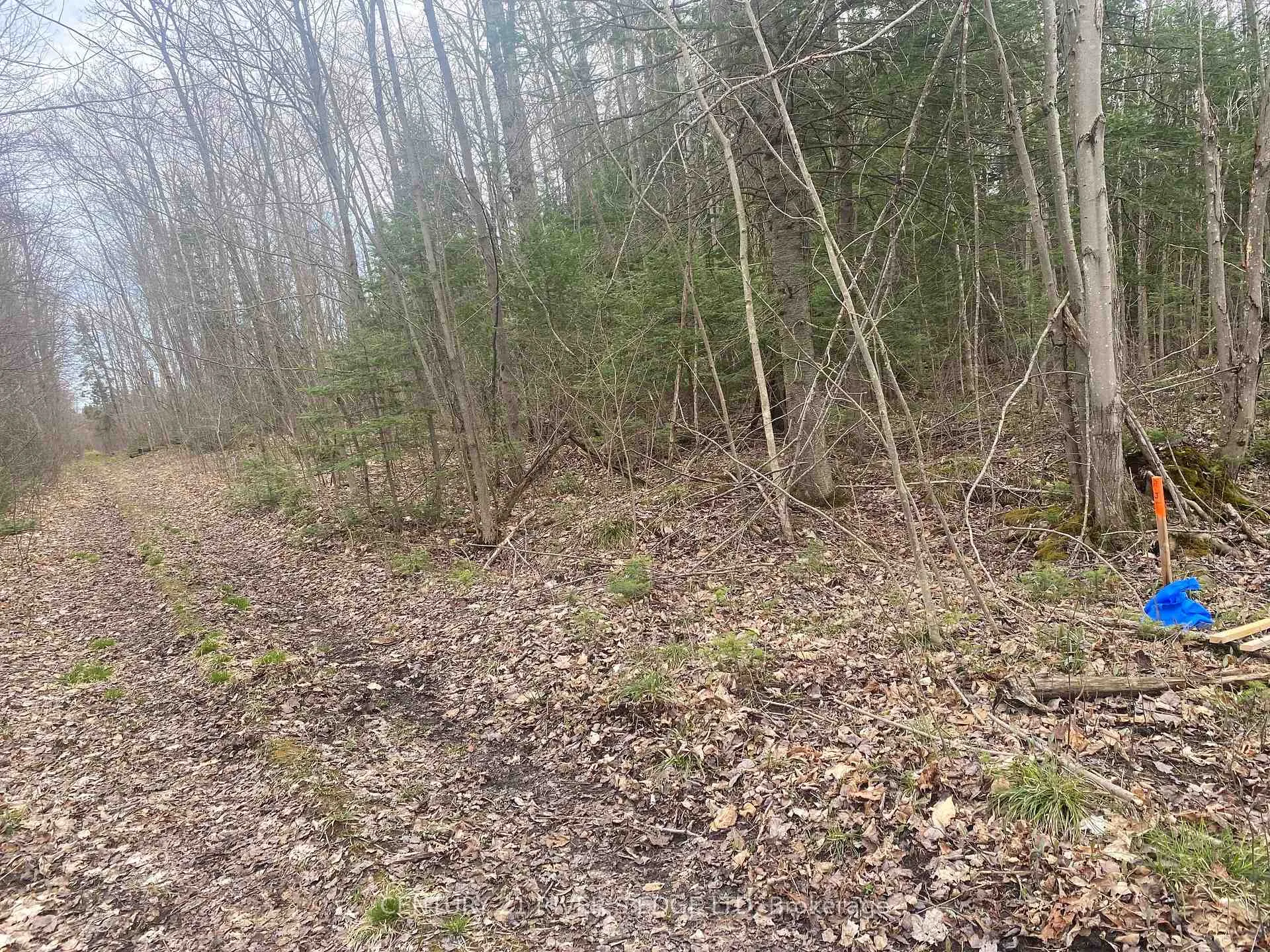 Photo 3 of 00 County Rd 44, North Grenville, North Grenville Twp (Kemptville South) — HOMEH