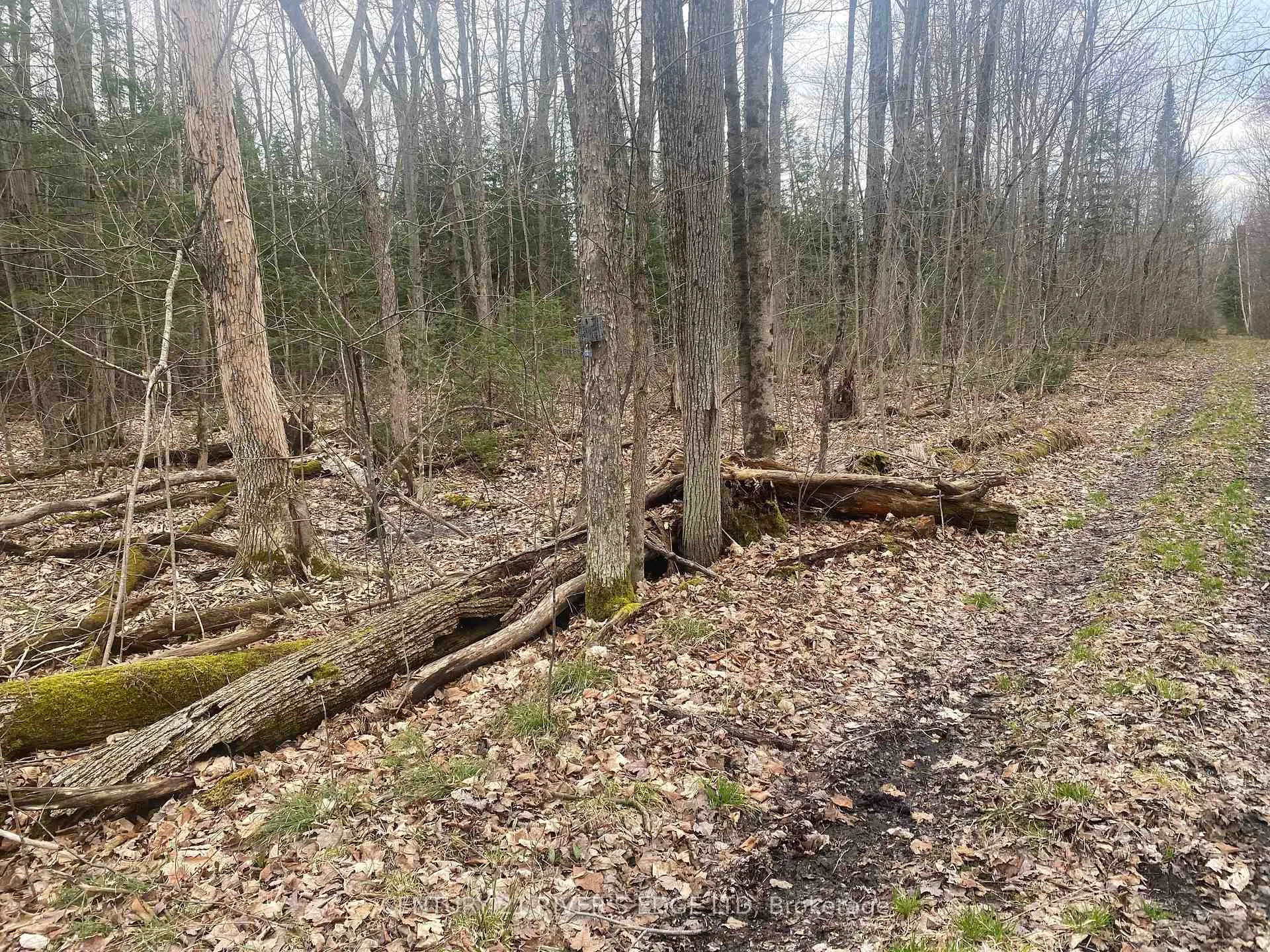 Photo 4 of 00 County Rd 44, North Grenville, North Grenville Twp (Kemptville South) — HOMEH