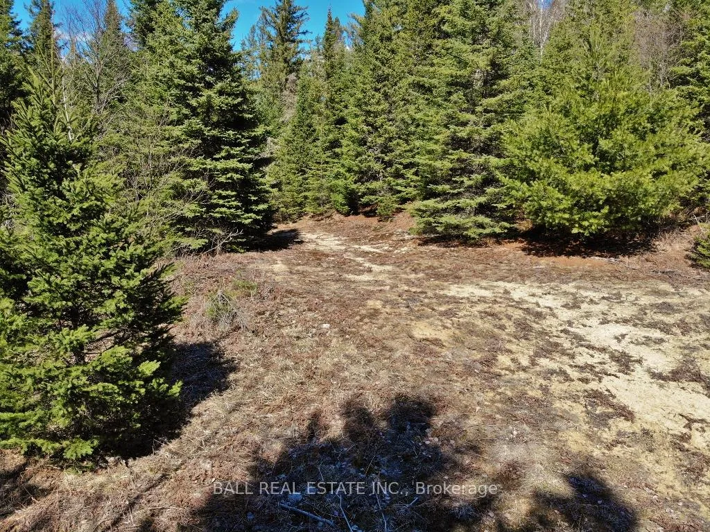 Photo 9 of Hillsview Road, Hastings Highlands, Monteagle Ward — HOMEH