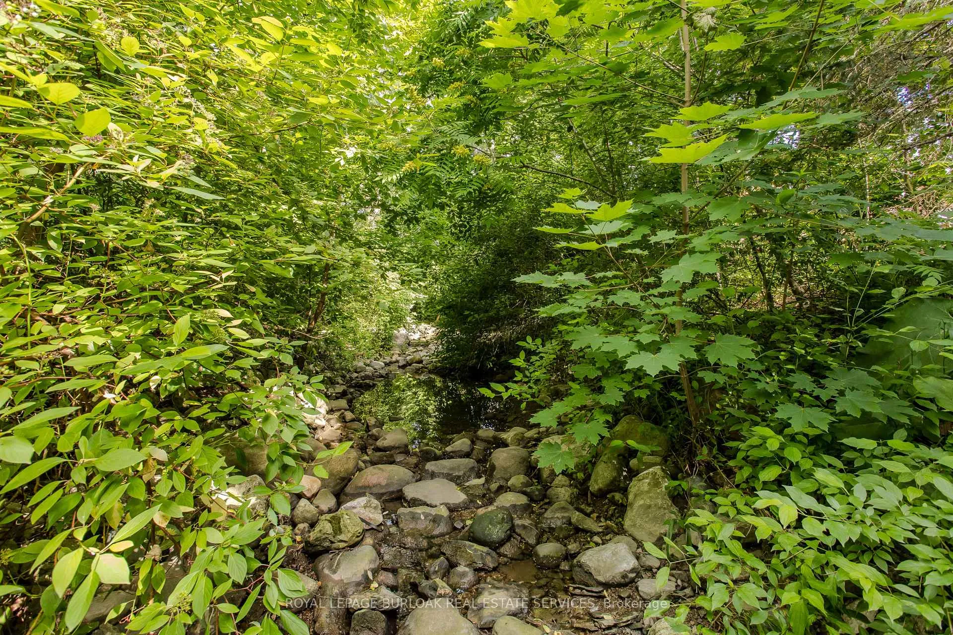 Photo 10 of 2117 Fallingbrook Court, Burlington, Headon — HOMEH