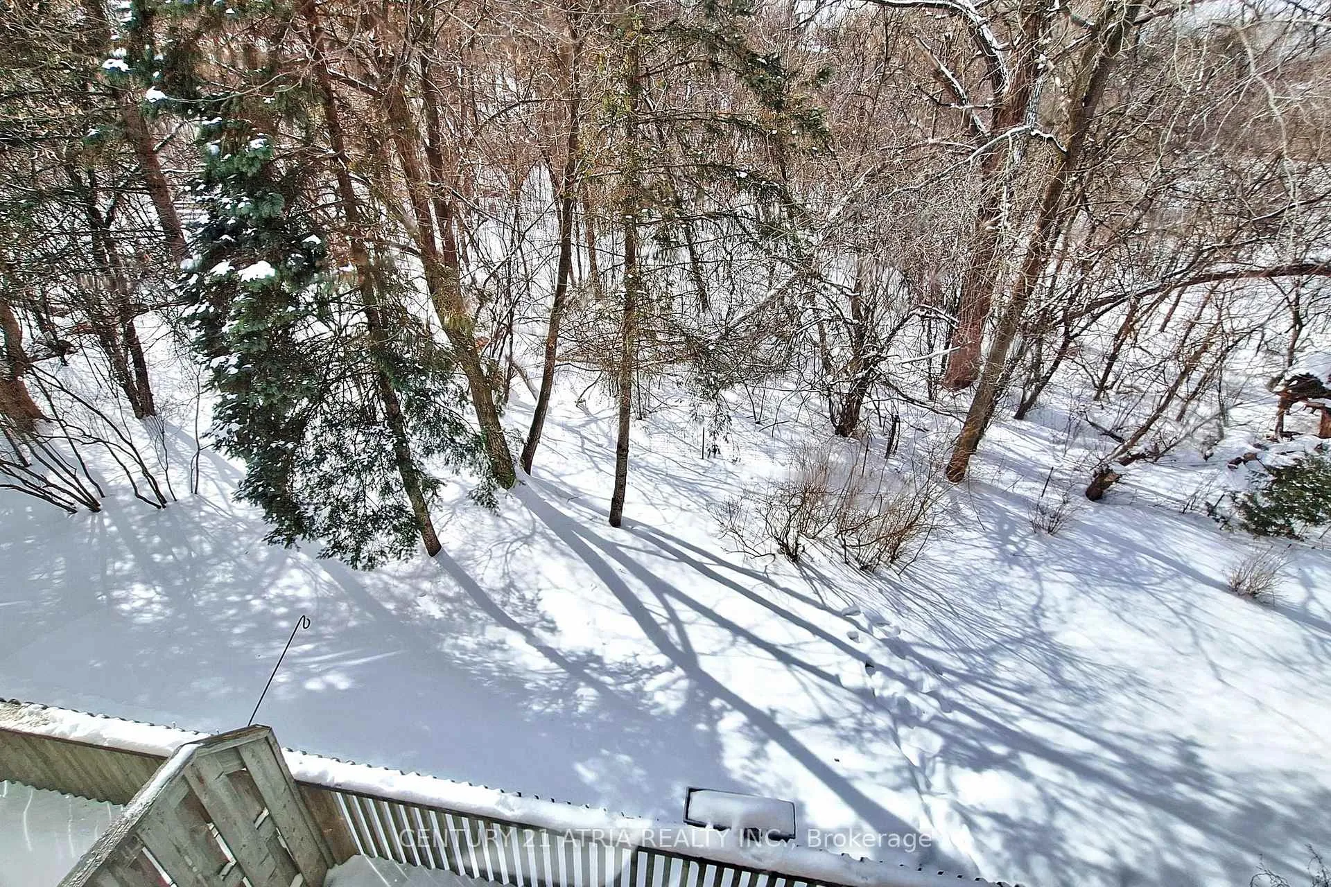 Photo 24 of 35 Anderson Place, Aurora, Aurora Highlands — HOMEH