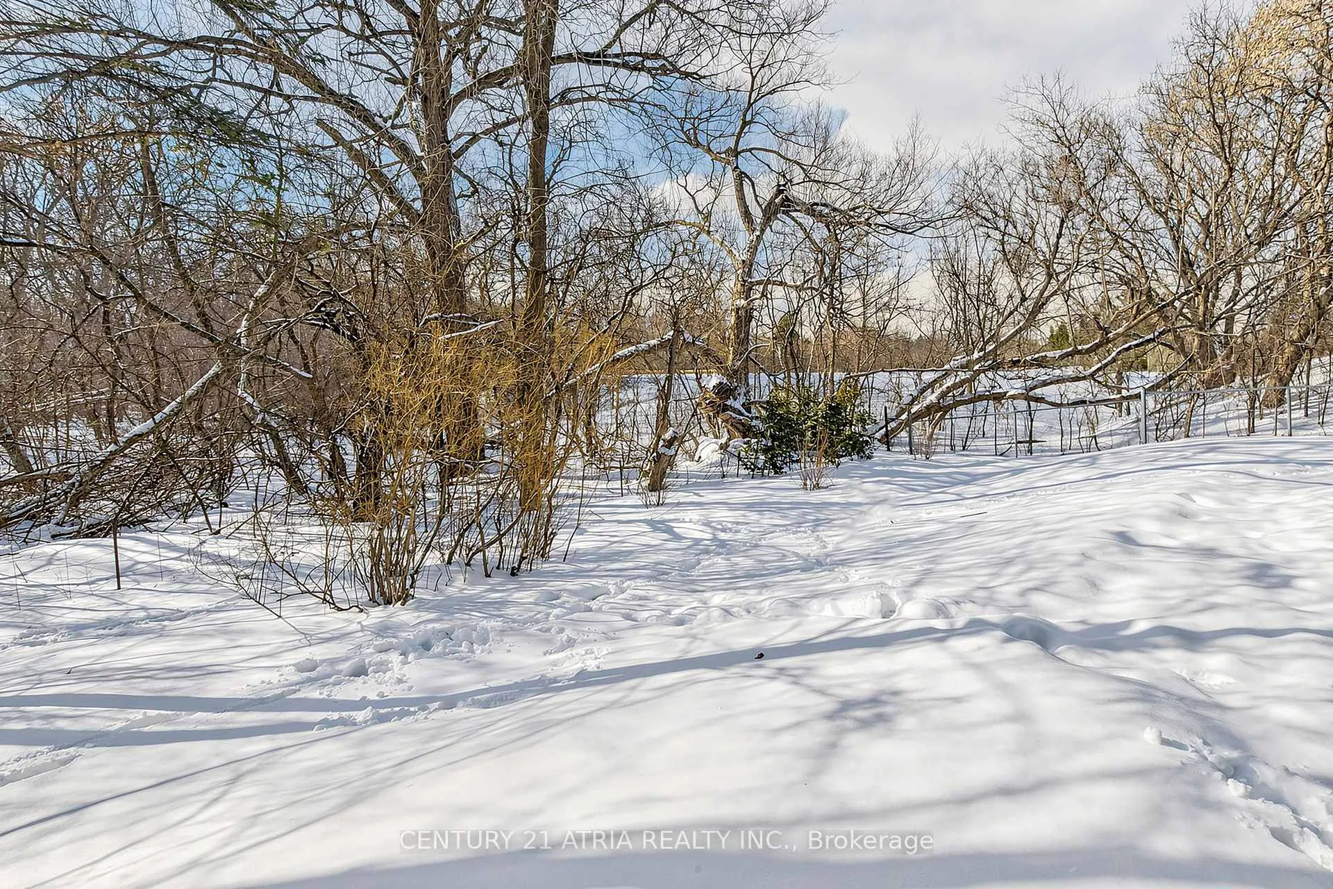 Photo 46 of 35 Anderson Place, Aurora, Aurora Highlands — HOMEH