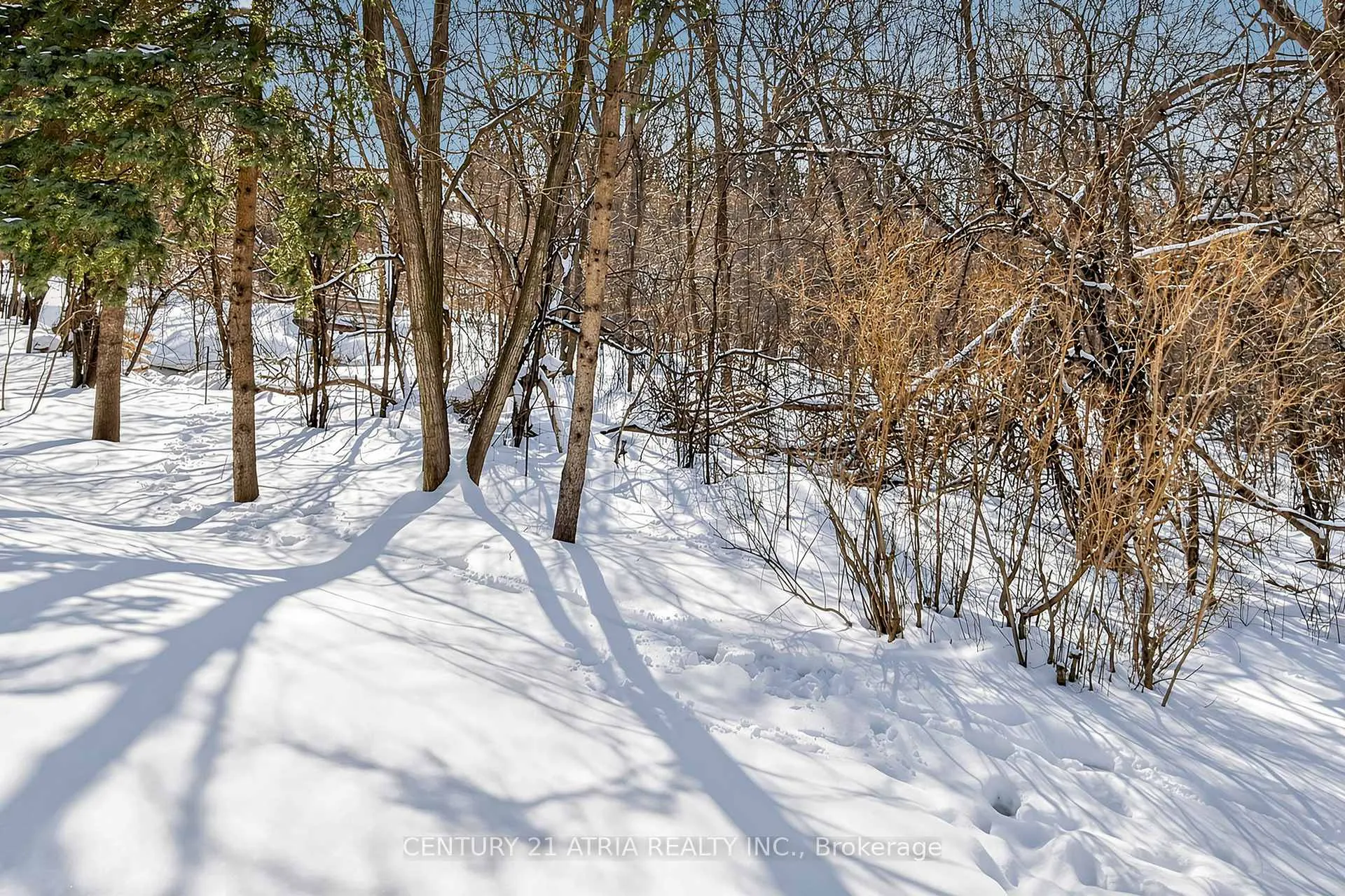 Photo 47 of 35 Anderson Place, Aurora, Aurora Highlands — HOMEH