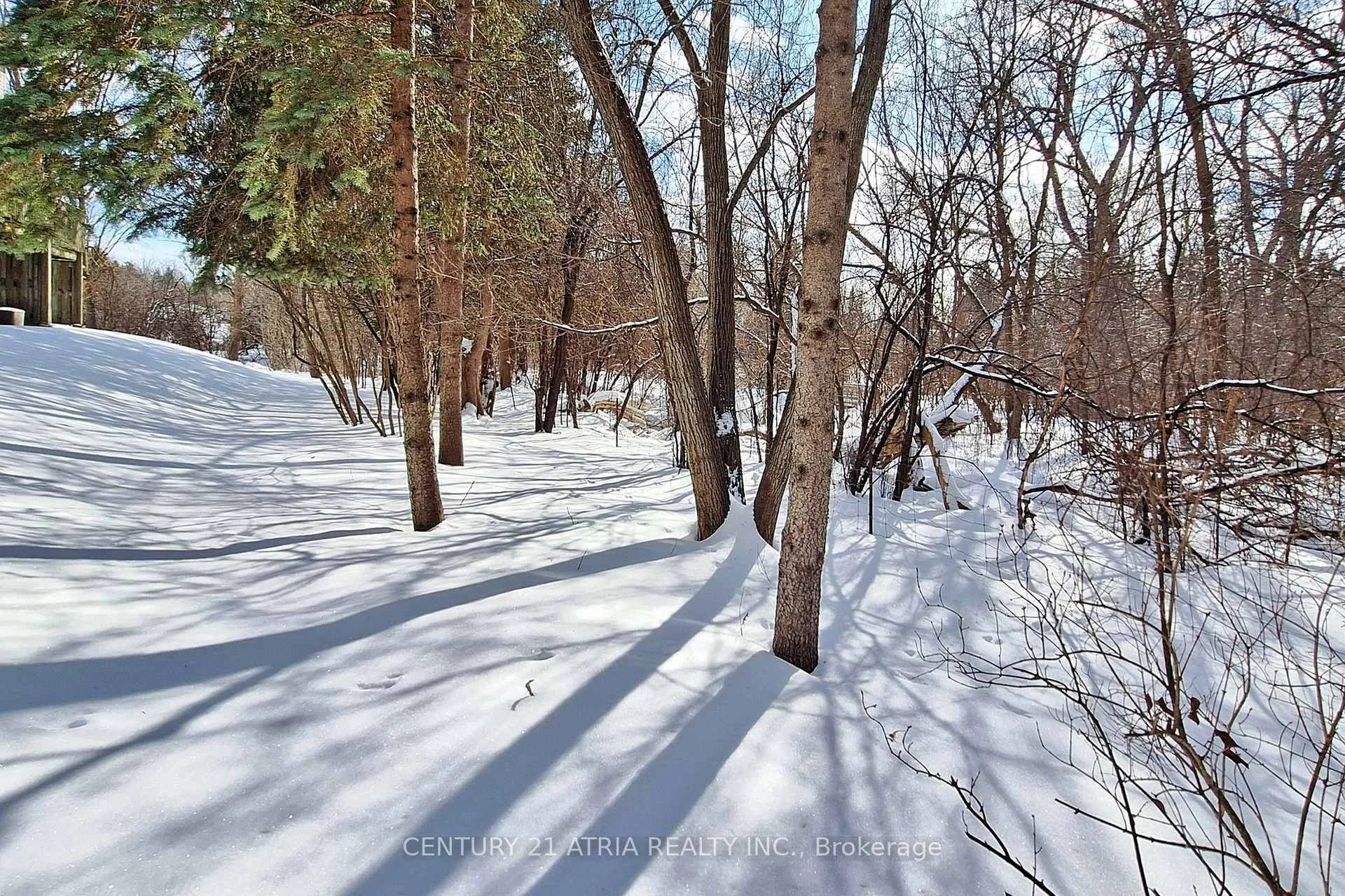 Photo 48 of 35 Anderson Place, Aurora, Aurora Highlands — HOMEH