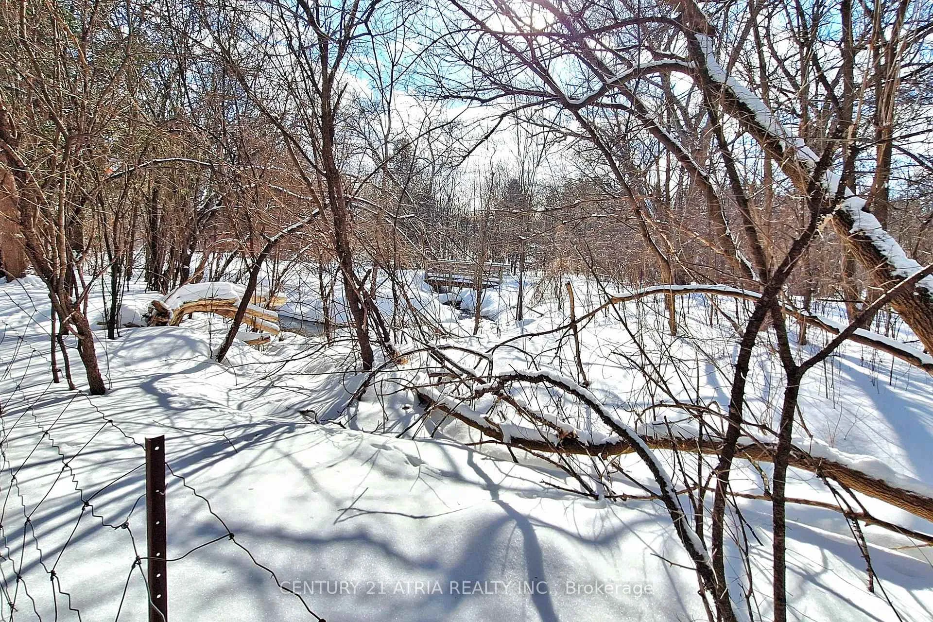 Photo 50 of 35 Anderson Place, Aurora, Aurora Highlands — HOMEH