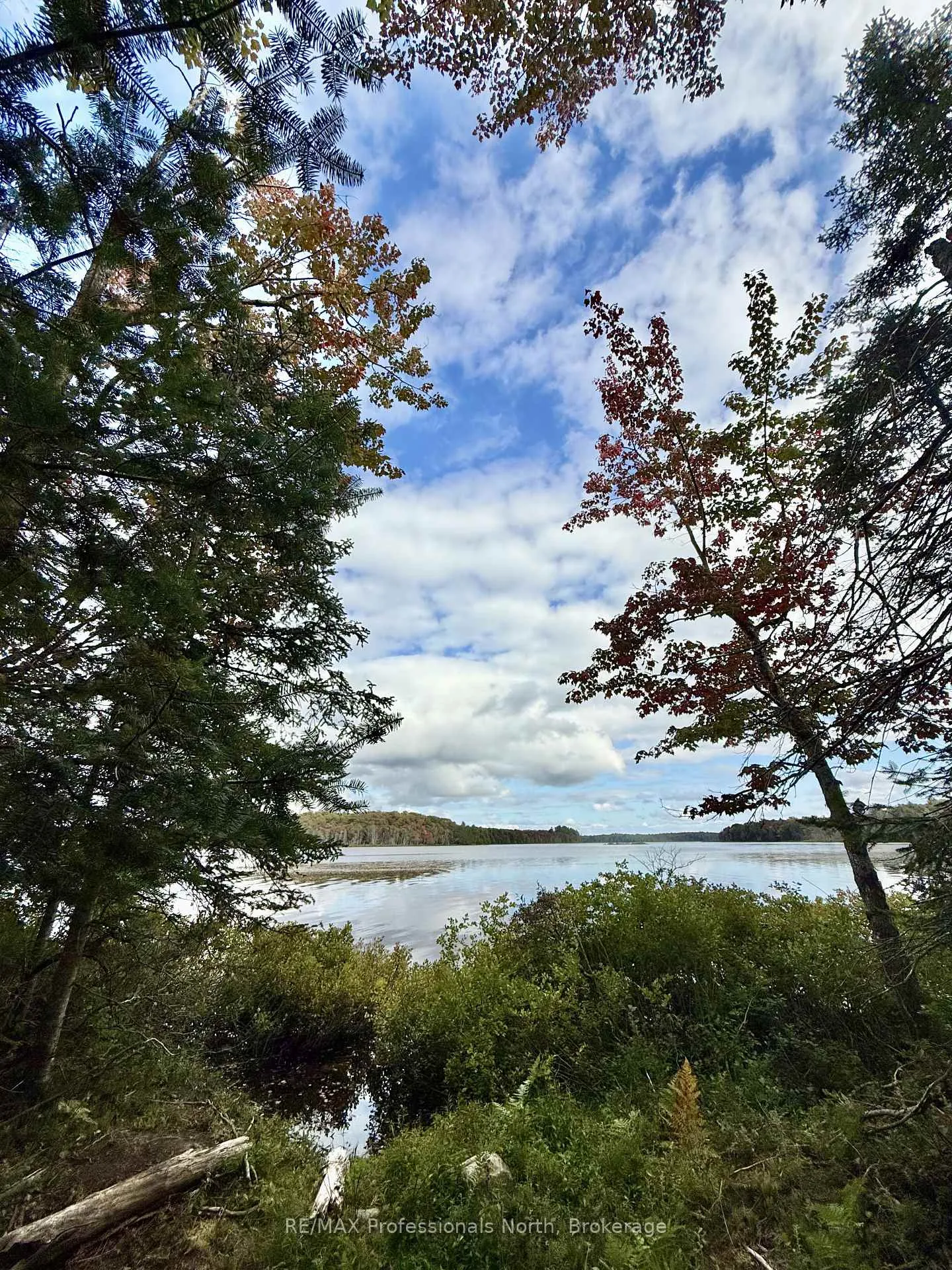 Photo 2 of 9 Axe Lake Road, McMurrich/Monteith, Monteith — HOMEH