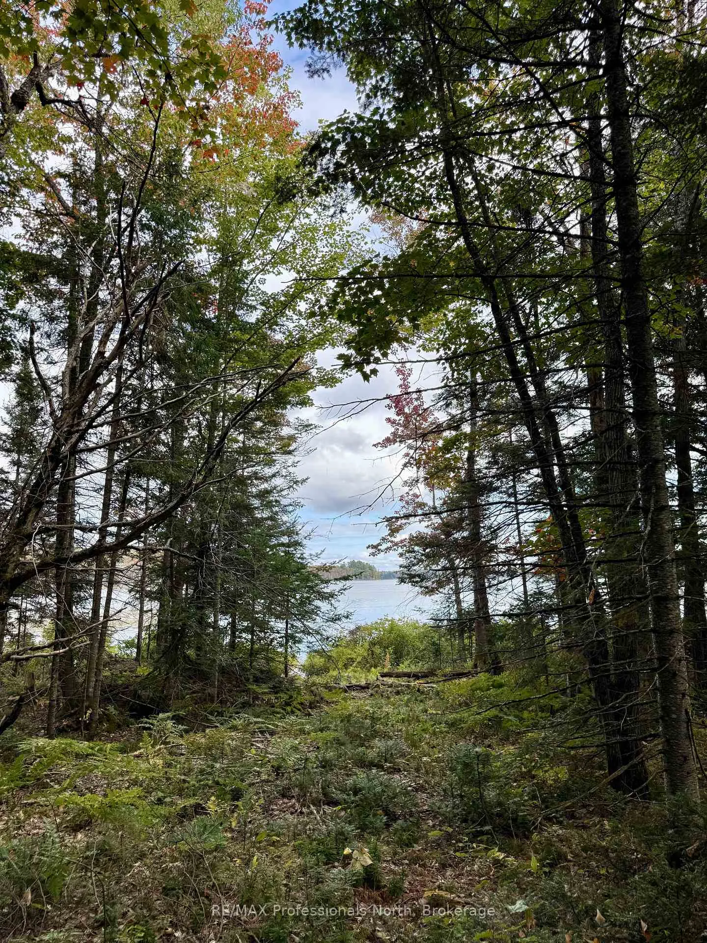 Photo 3 of 9 Axe Lake Road, McMurrich/Monteith, Monteith — HOMEH