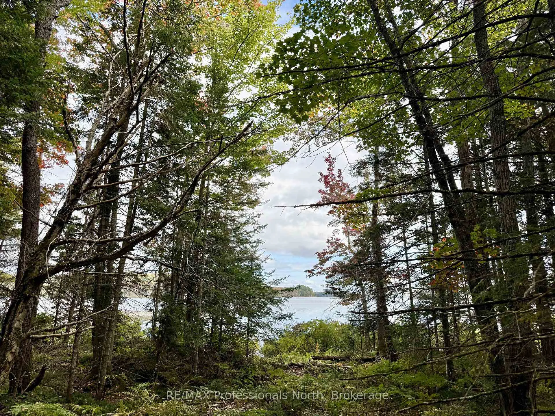 Photo 5 of 9 Axe Lake Road, McMurrich/Monteith, Monteith — HOMEH