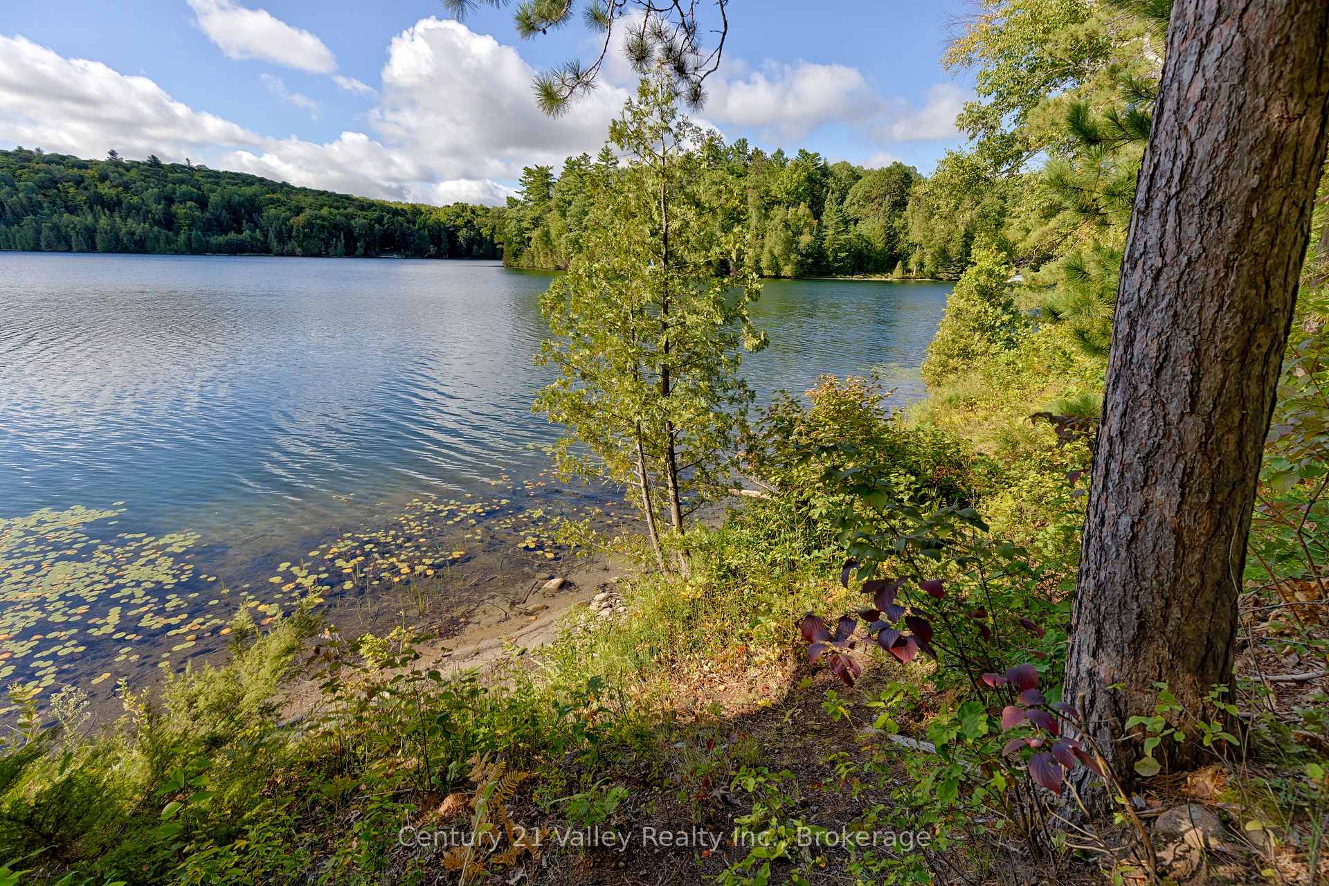 Photo 11 of 128 McDowell Lane, Horton, Horton Twp — HOMEH