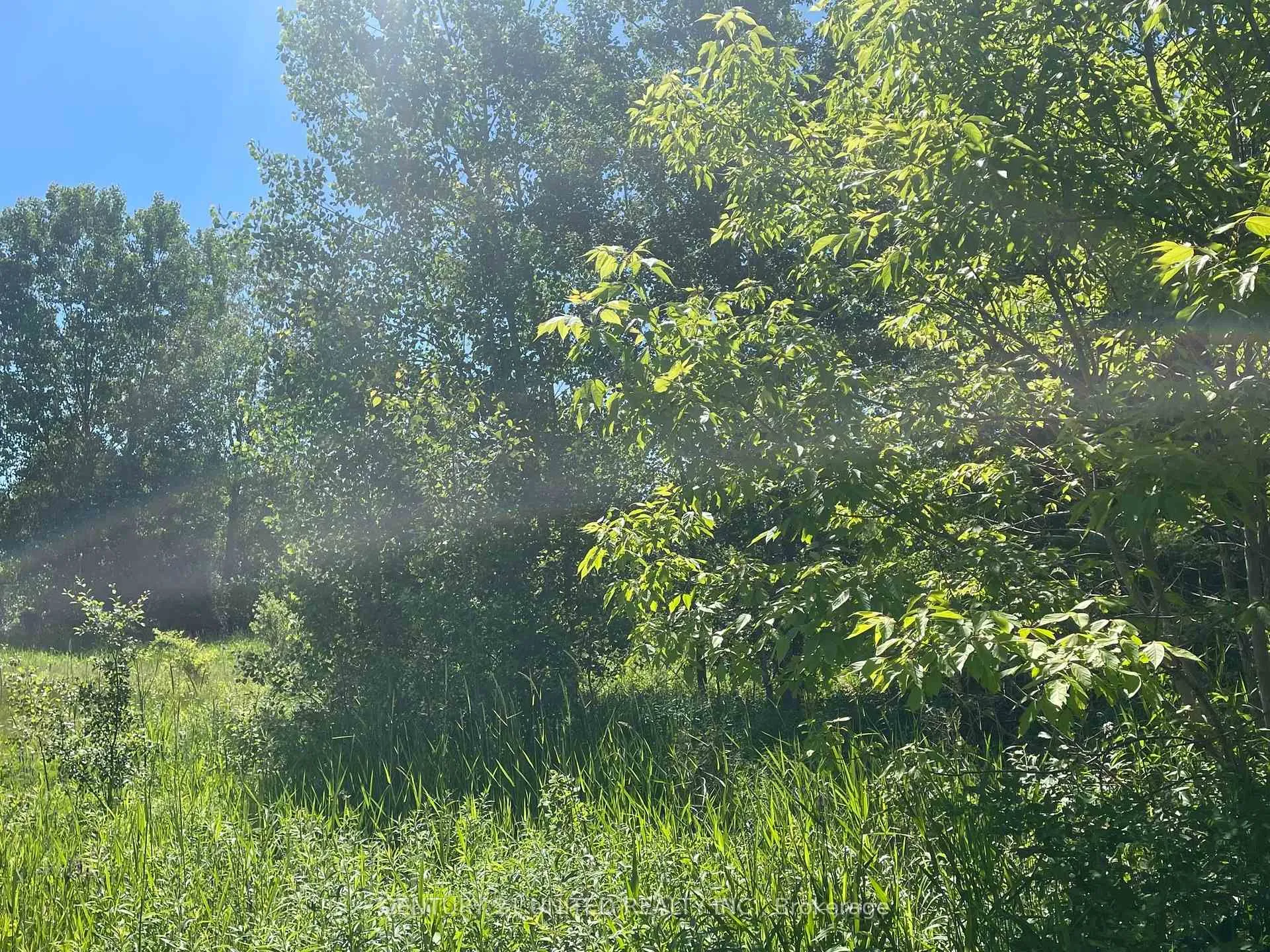 Photo 7 of Part Lot 9 Workman Road, Cobourg — HOMEH