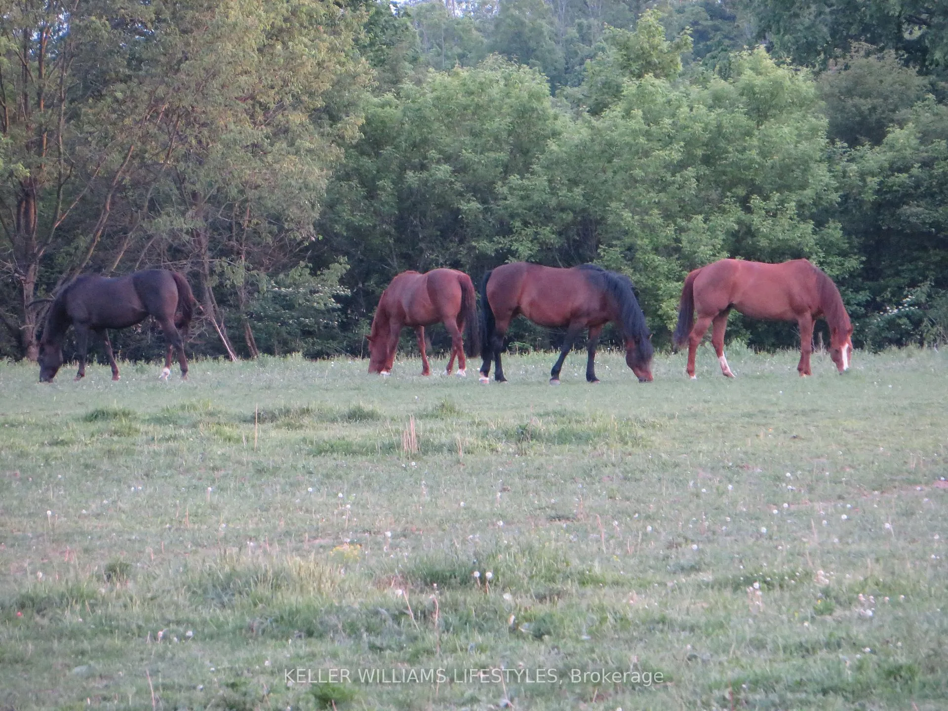 Photo 7 of 25728 McMurchy Line, West Elgin, Rural West Elgin — HOMEH