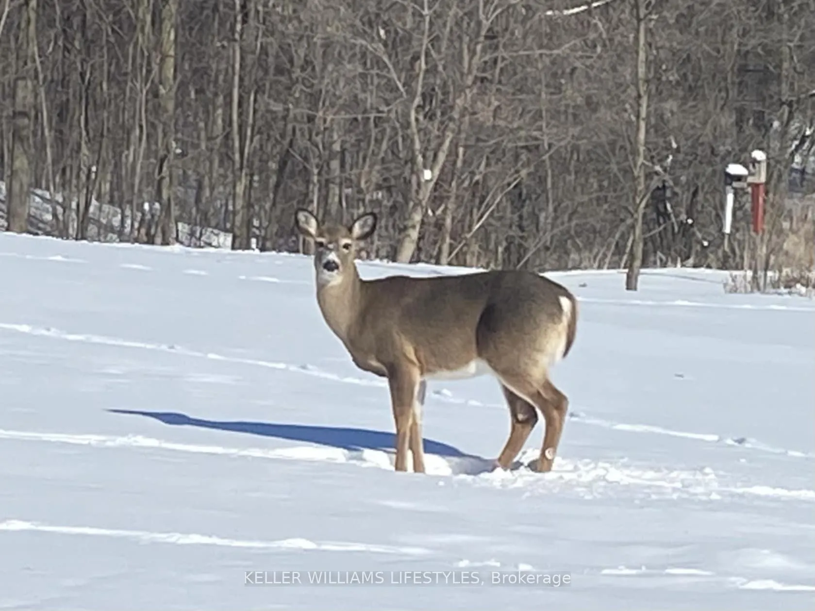 Photo 42 of 25728 McMurchy Line, West Elgin, Rural West Elgin — HOMEH