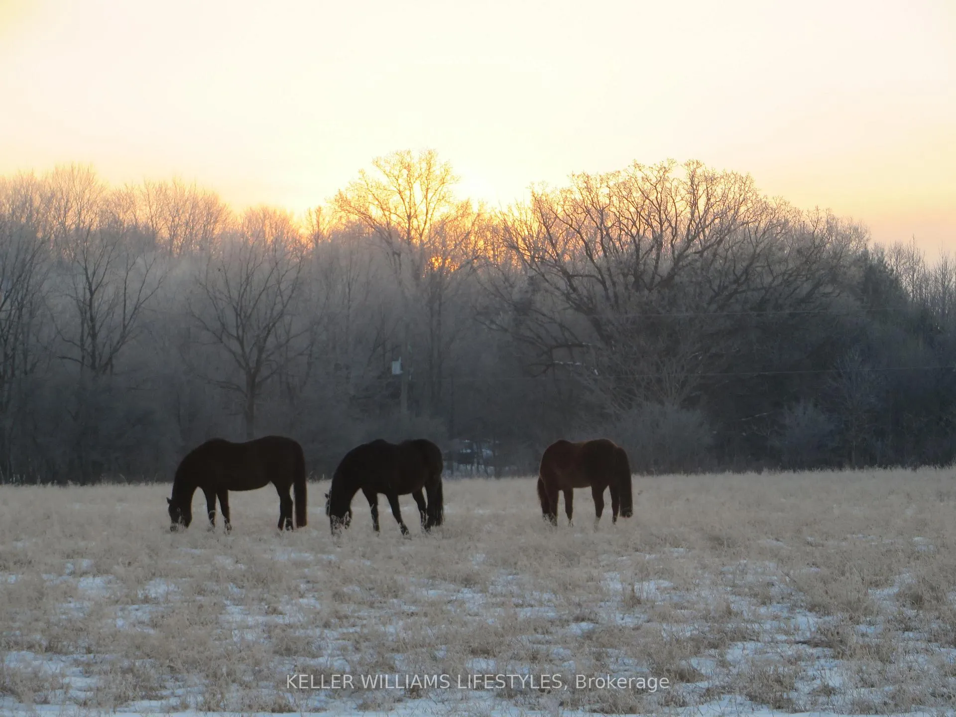 Photo 44 of 25728 McMurchy Line, West Elgin, Rural West Elgin — HOMEH