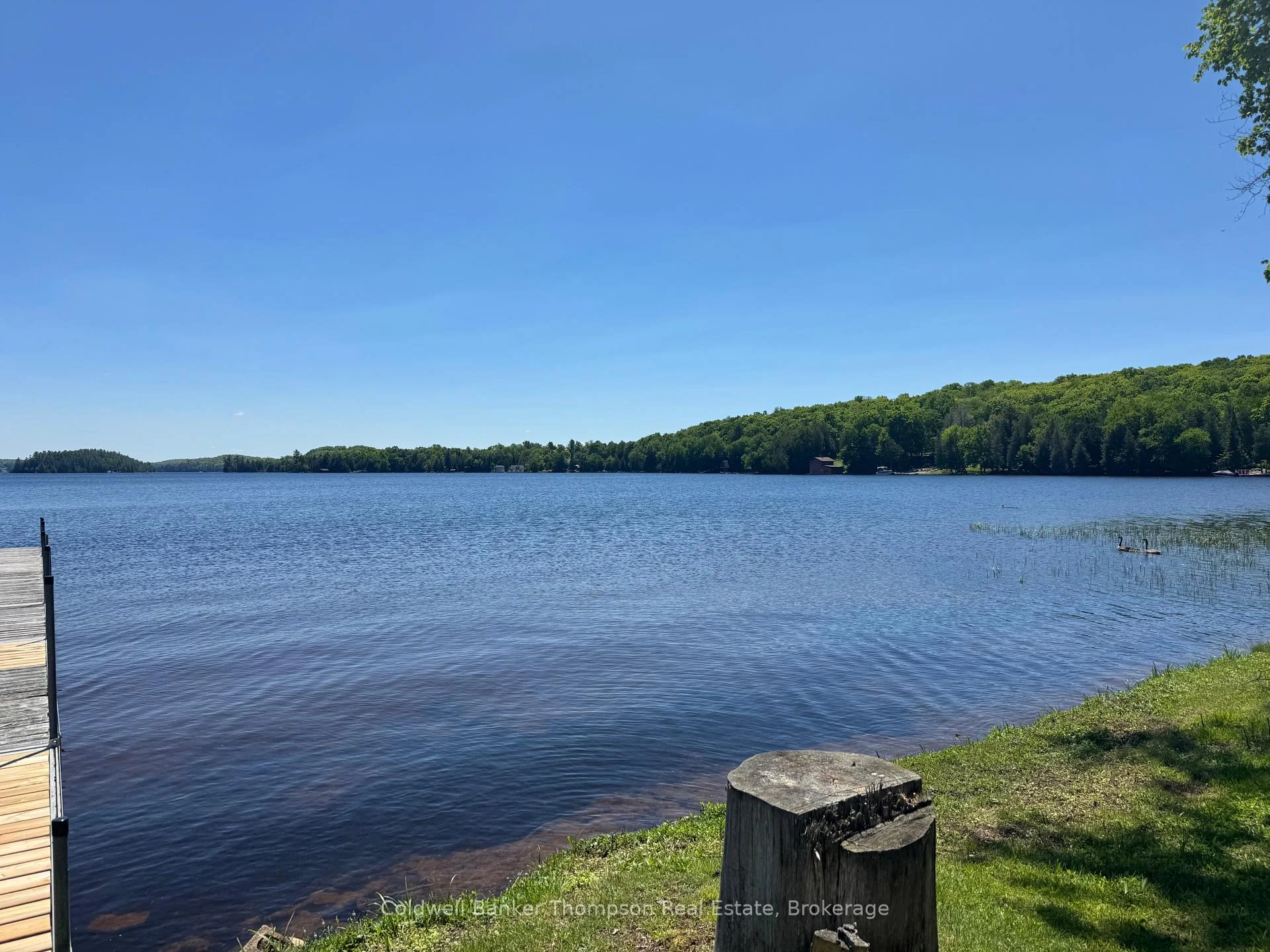 Photo 25 of 3105 Highway 520, Magnetawan — HOMEH