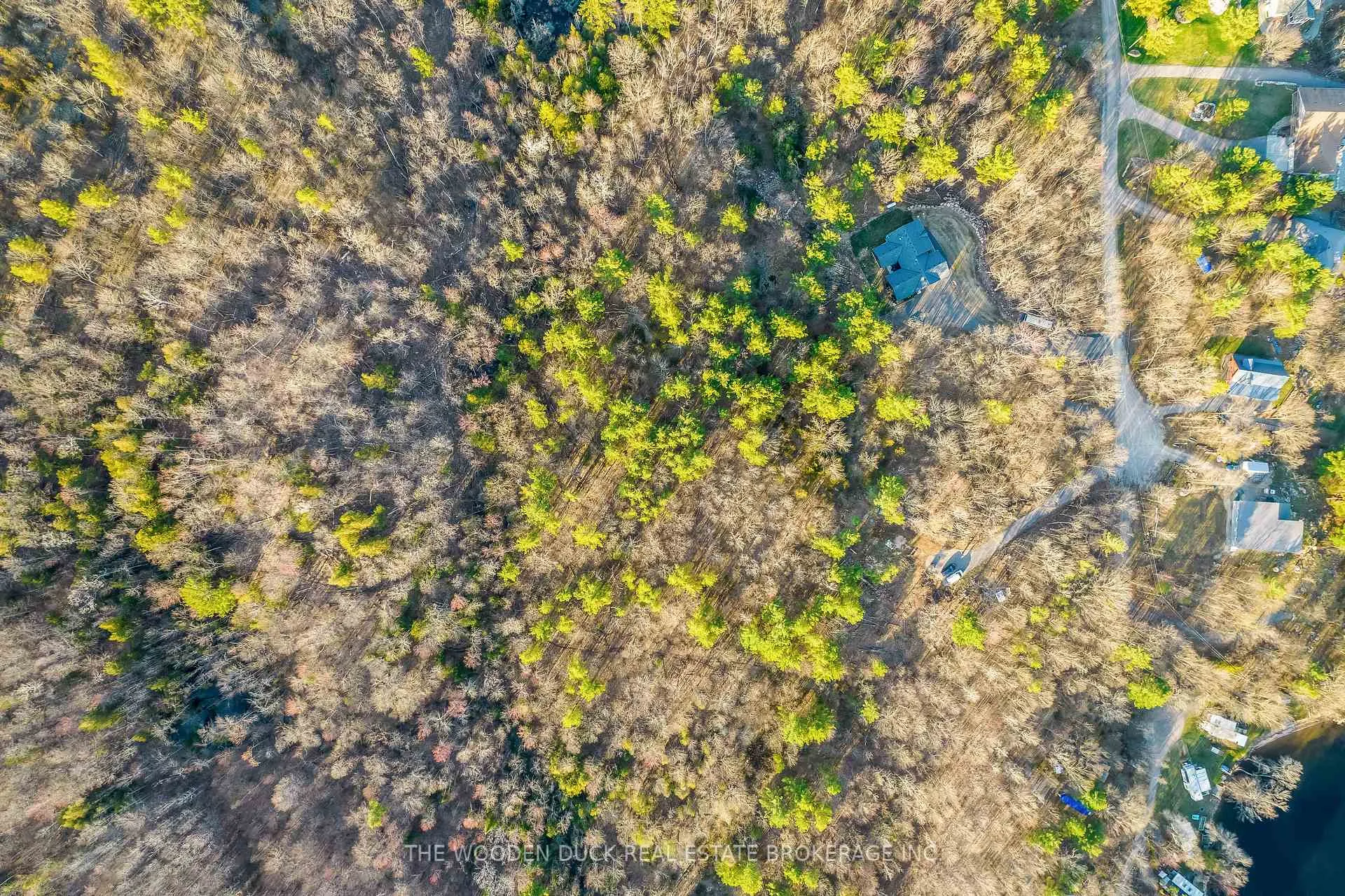 Photo 5 of Quail Ridge Lane, Madoc — HOMEH