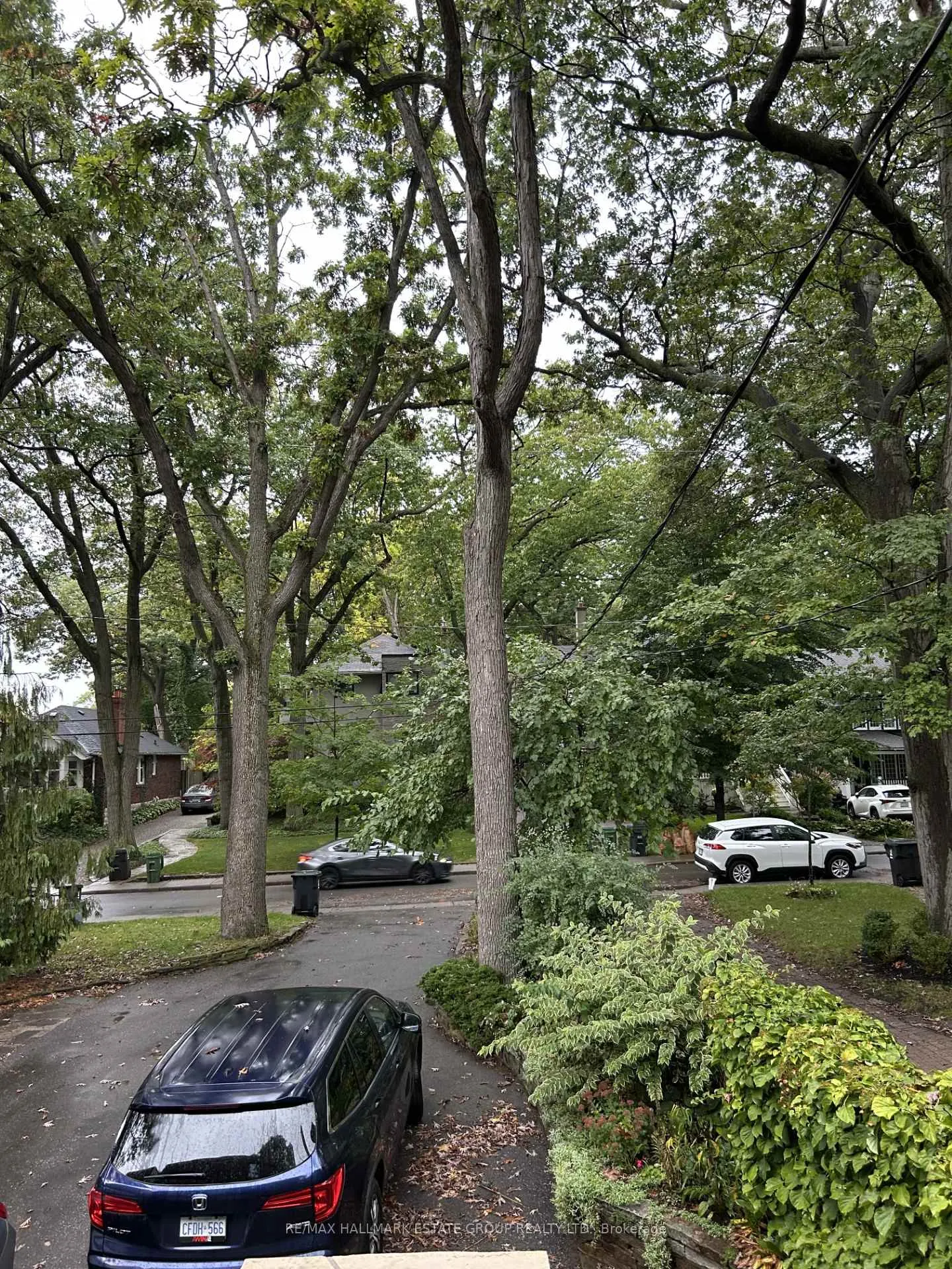 Photo 2 of 249 Beech Avenue, Toronto, The Beaches — HOMEH