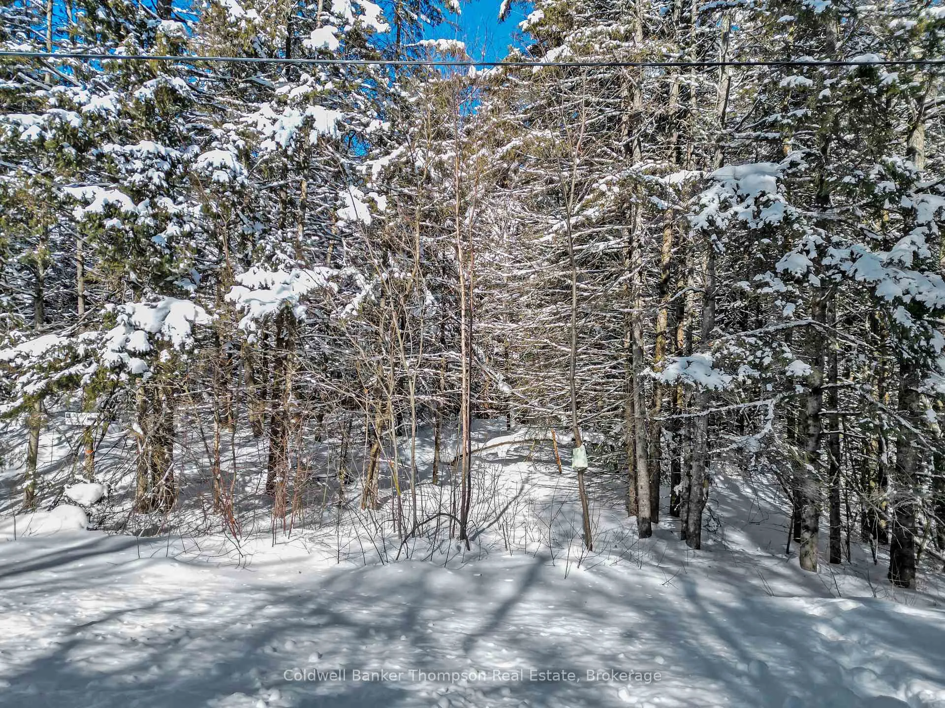 Photo 3 of LOT 3 Stoney Road, Armour — HOMEH