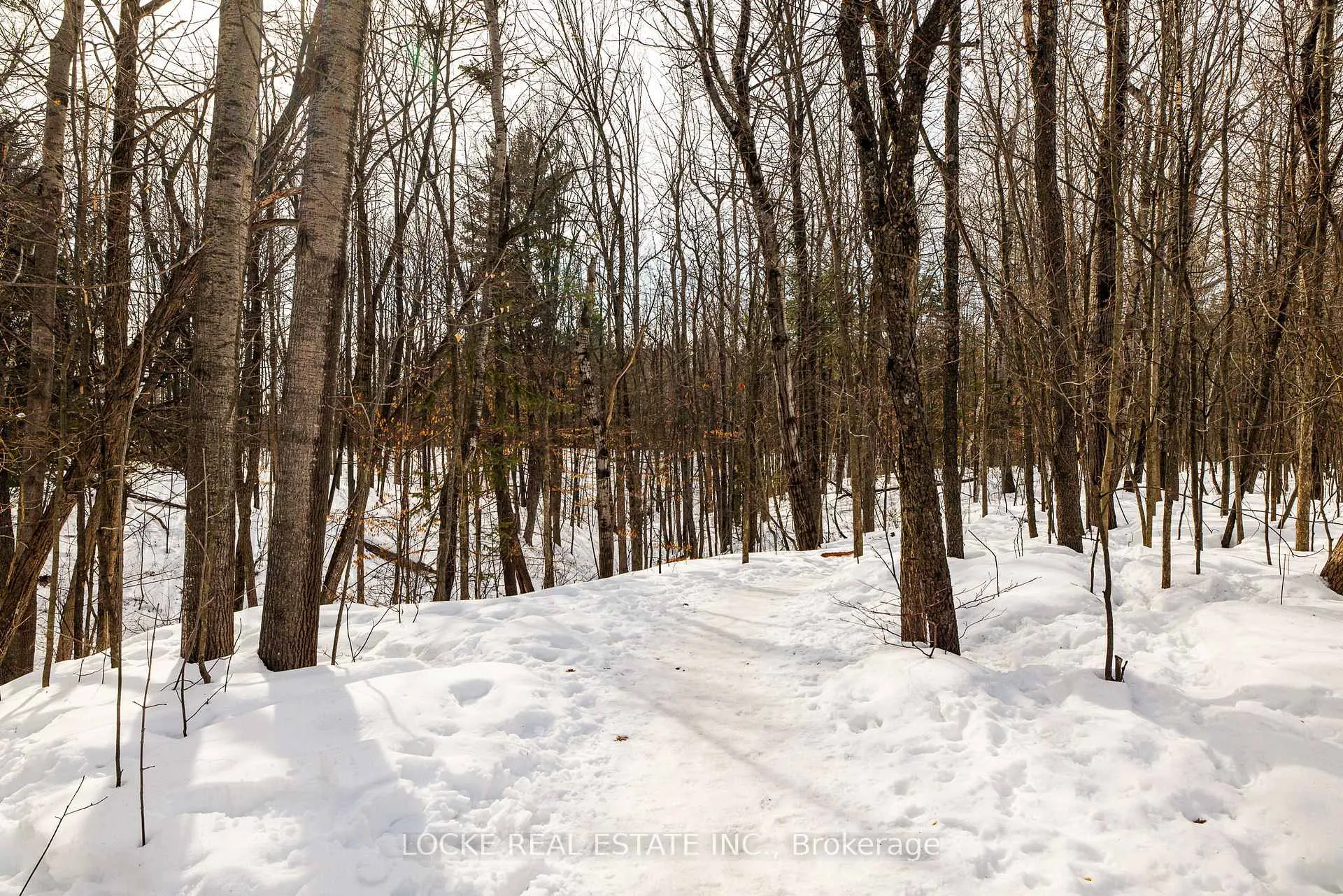 Photo 43 of 279 Hoylake Crescent, Ottawa, Bilberry Creek/Queenswood Heights — HOMEH