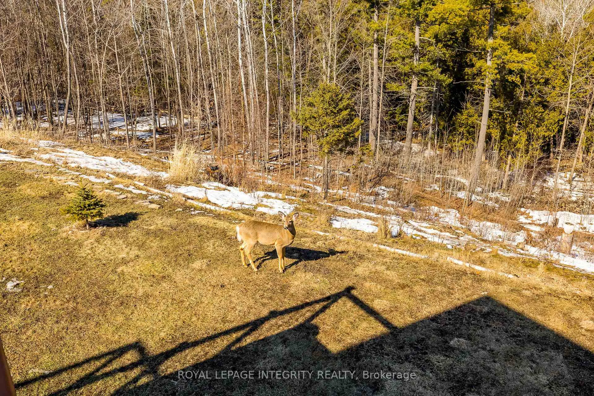 Photo 37 of 3052 Stoneridge Road, Ottawa, Dunrobin Shores — HOMEH