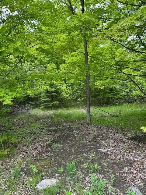 Photo 3 of 17146 Road 509, Frontenac, Frontenac Centre — HOMEH