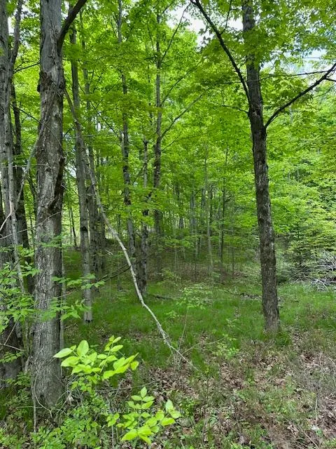 Photo 4 of 17146 Road 509, Frontenac, Frontenac Centre — HOMEH