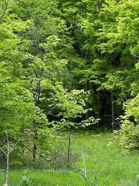 Photo 5 of 17146 Road 509, Frontenac, Frontenac Centre — HOMEH