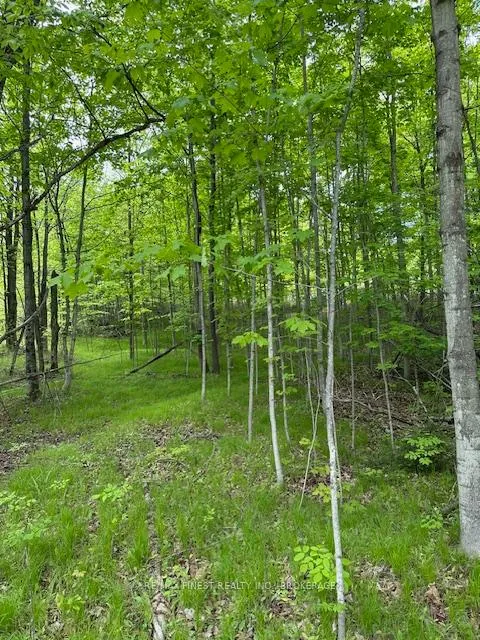 Photo 8 of 17146 Road 509, Frontenac, Frontenac Centre — HOMEH