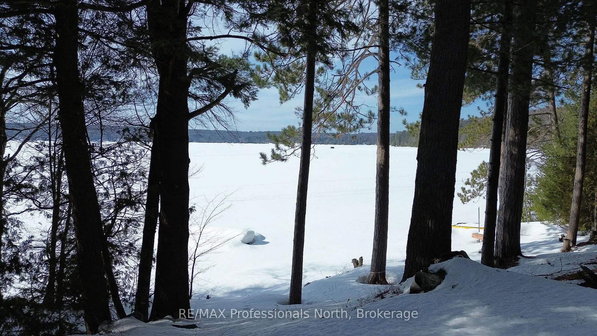 Photo 17 of 1005 Deacons Trail, Algonquin Highlands, Stanhope — HOMEH