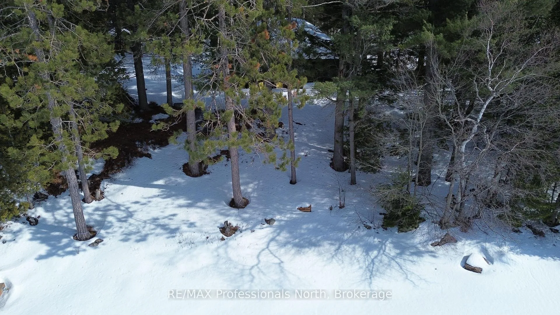 Photo 19 of 1005 Deacons Trail, Algonquin Highlands, Stanhope — HOMEH