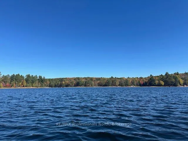Photo 25 of 1005 Deacons Trail, Algonquin Highlands, Stanhope — HOMEH