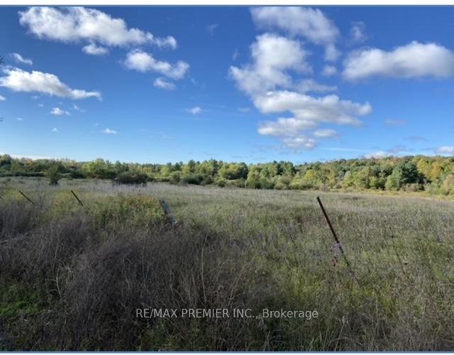 Photo 8 of 117 O'Hara Road, Madoc — HOMEH