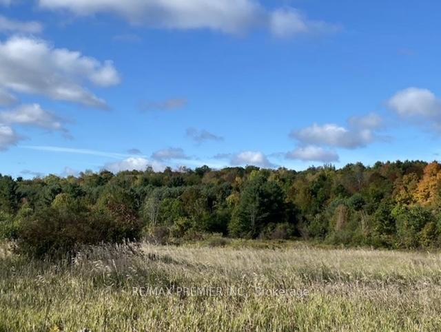 Photo 9 of 117 O'Hara Road, Madoc — HOMEH
