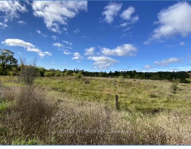 Photo 10 of 117 O'Hara Road, Madoc — HOMEH
