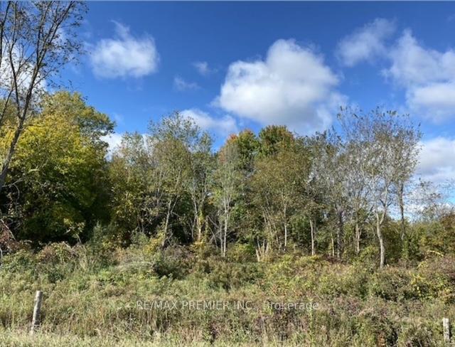 Photo 11 of 117 O'Hara Road, Madoc — HOMEH