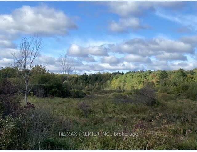 Photo 12 of 117 O'Hara Road, Madoc — HOMEH