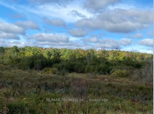 Photo 13 of 117 O'Hara Road, Madoc — HOMEH