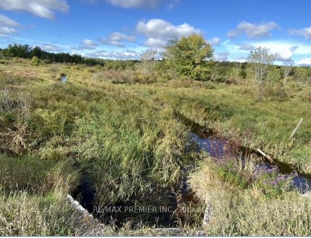 Photo 15 of 117 O'Hara Road, Madoc — HOMEH