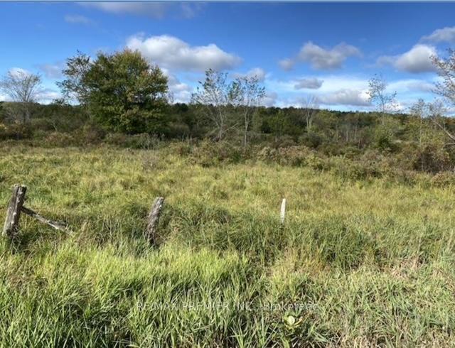 Photo 17 of 117 O'Hara Road, Madoc — HOMEH