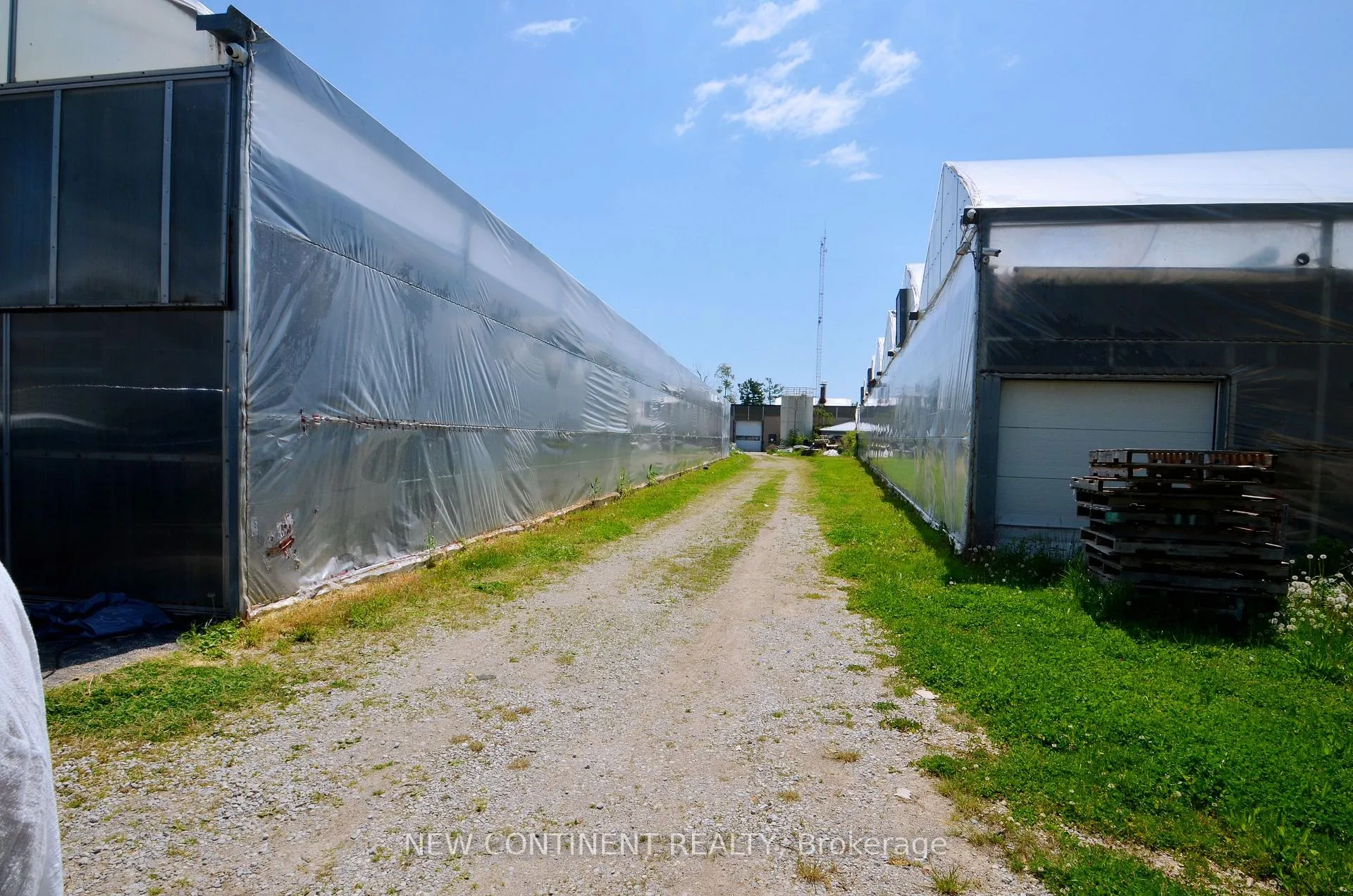 Photo 7 of 922 Talbot Road E, Leamington — HOMEH