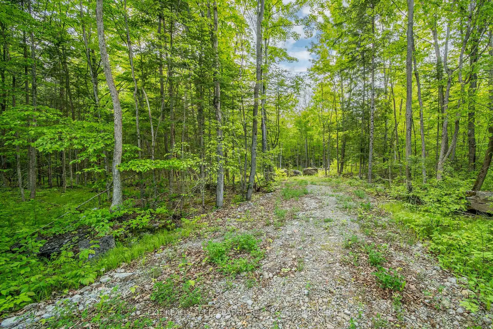 Photo 8 of 41 Stonehedge Road, Stone Mills, Stone Mills — HOMEH