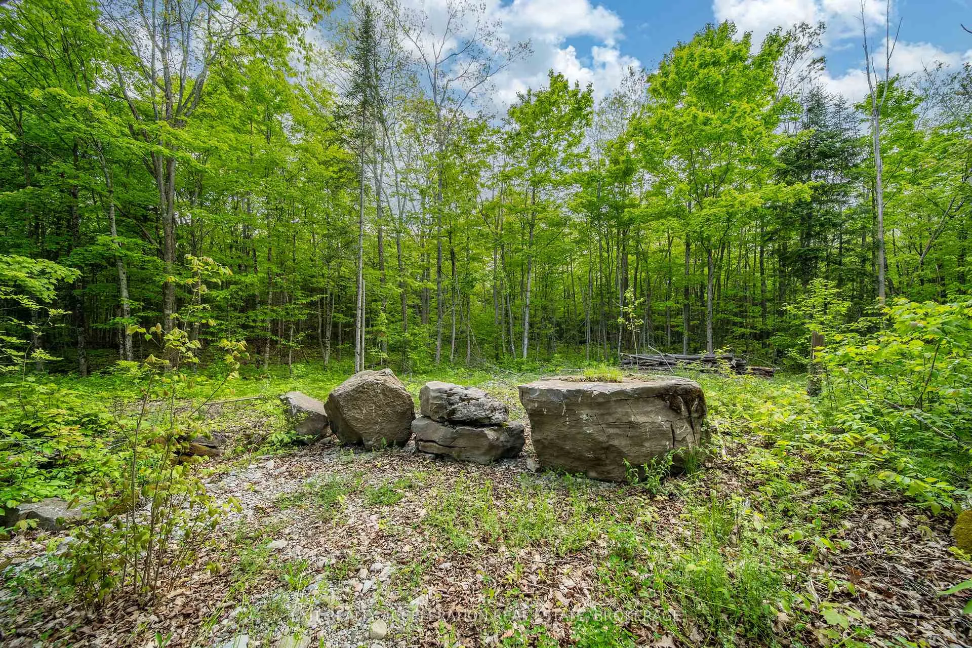 Photo 9 of 41 Stonehedge Road, Stone Mills, Stone Mills — HOMEH