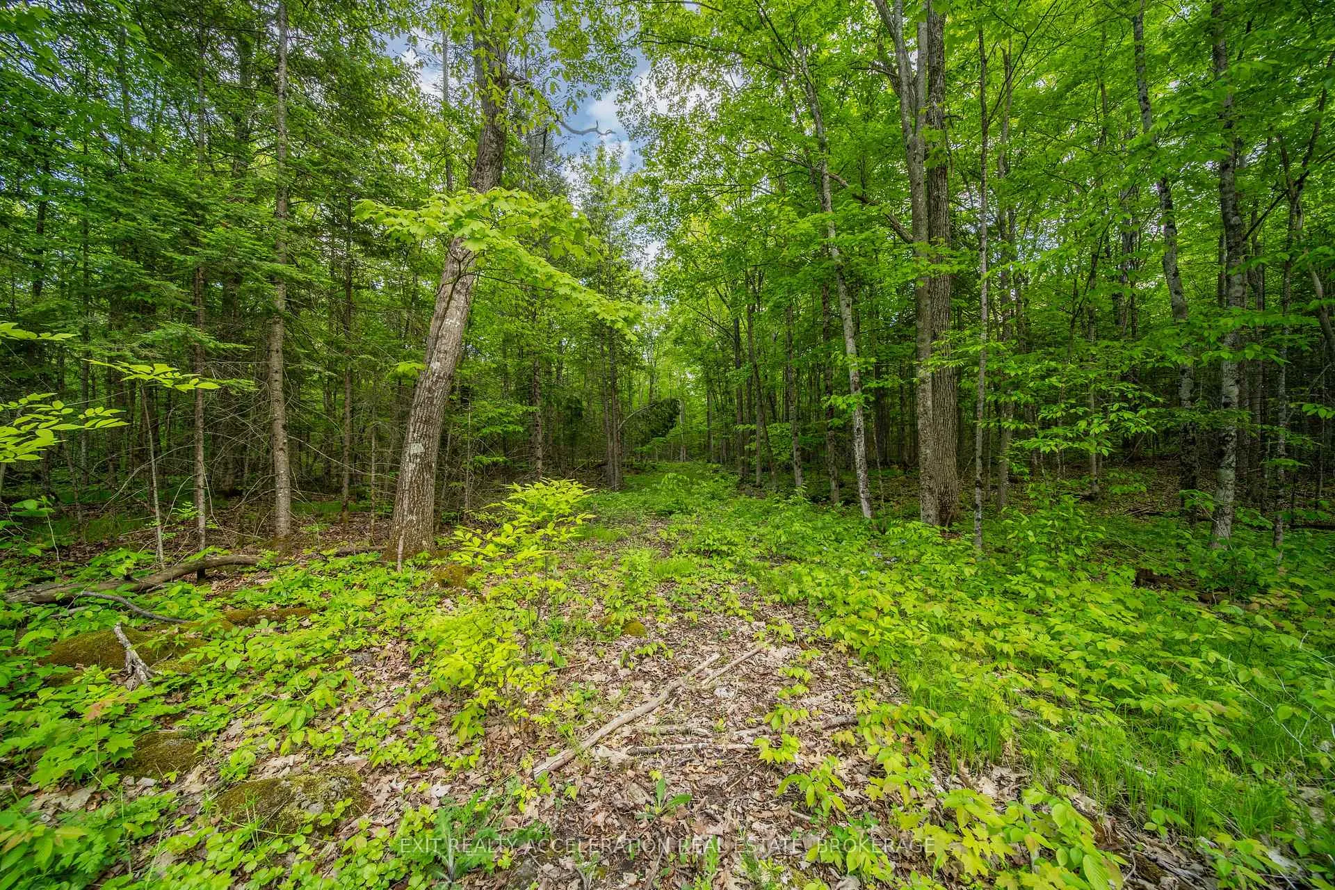 Photo 10 of 41 Stonehedge Road, Stone Mills, Stone Mills — HOMEH