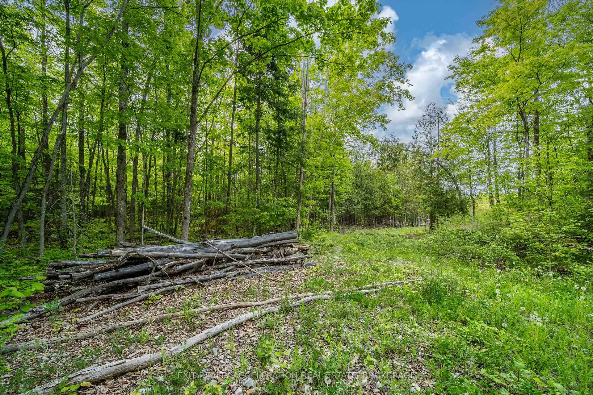 Photo 11 of 41 Stonehedge Road, Stone Mills, Stone Mills — HOMEH