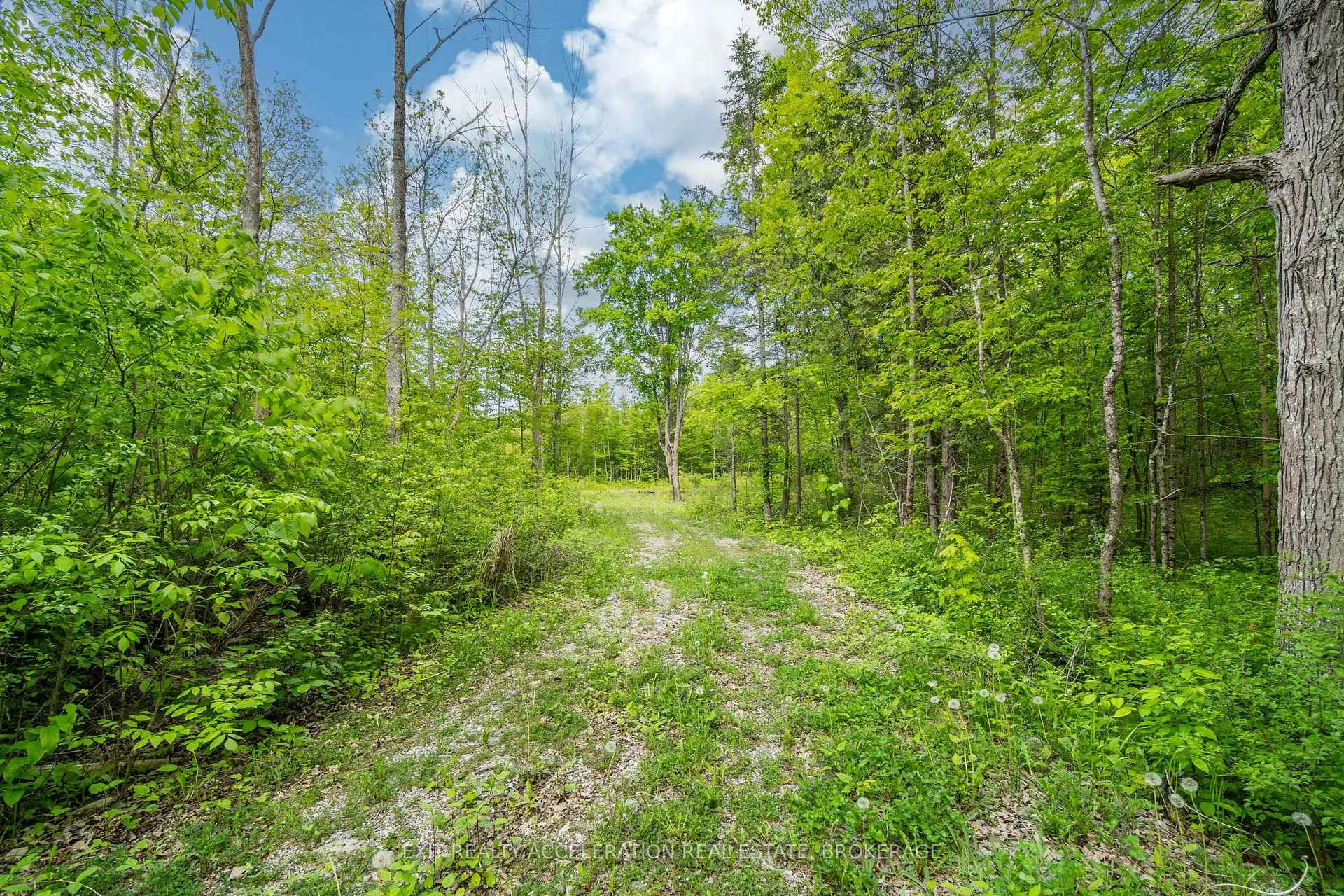 Photo 12 of 41 Stonehedge Road, Stone Mills, Stone Mills — HOMEH
