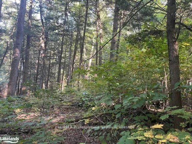 Photo 4 of 2 Stone Gate Lane, Bracebridge, Draper — HOMEH