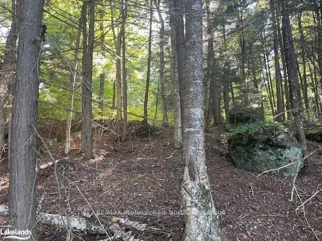 Photo 5 of 2 Stone Gate Lane, Bracebridge, Draper — HOMEH