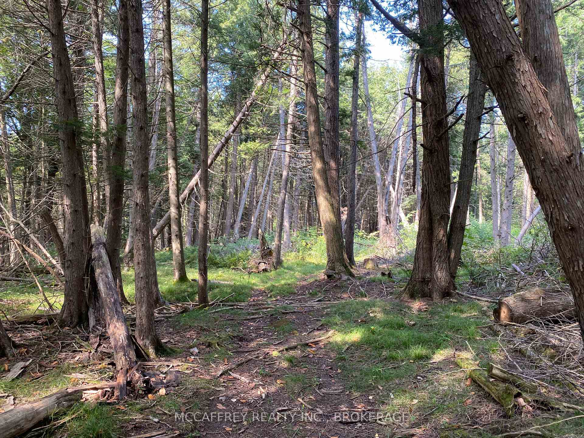 Photo 2 of 3499 Deloro Road, Madoc — HOMEH